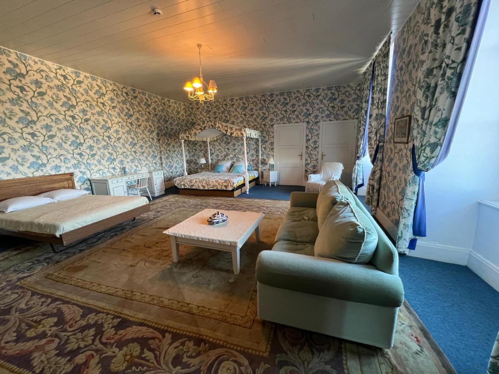 Chateau De Busset מראה חיצוני תמונה
